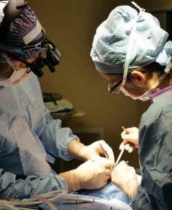 olivier-gerbault-jnLxeqkAAH4-unsplash