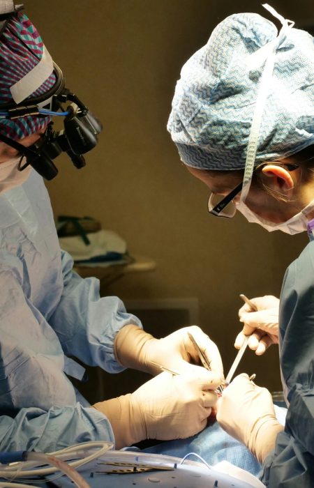 olivier-gerbault-jnLxeqkAAH4-unsplash